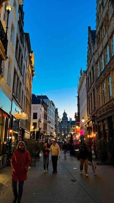 Cozy Antwerp - Cityview Studio Free Parking Dış mekan fotoğraf